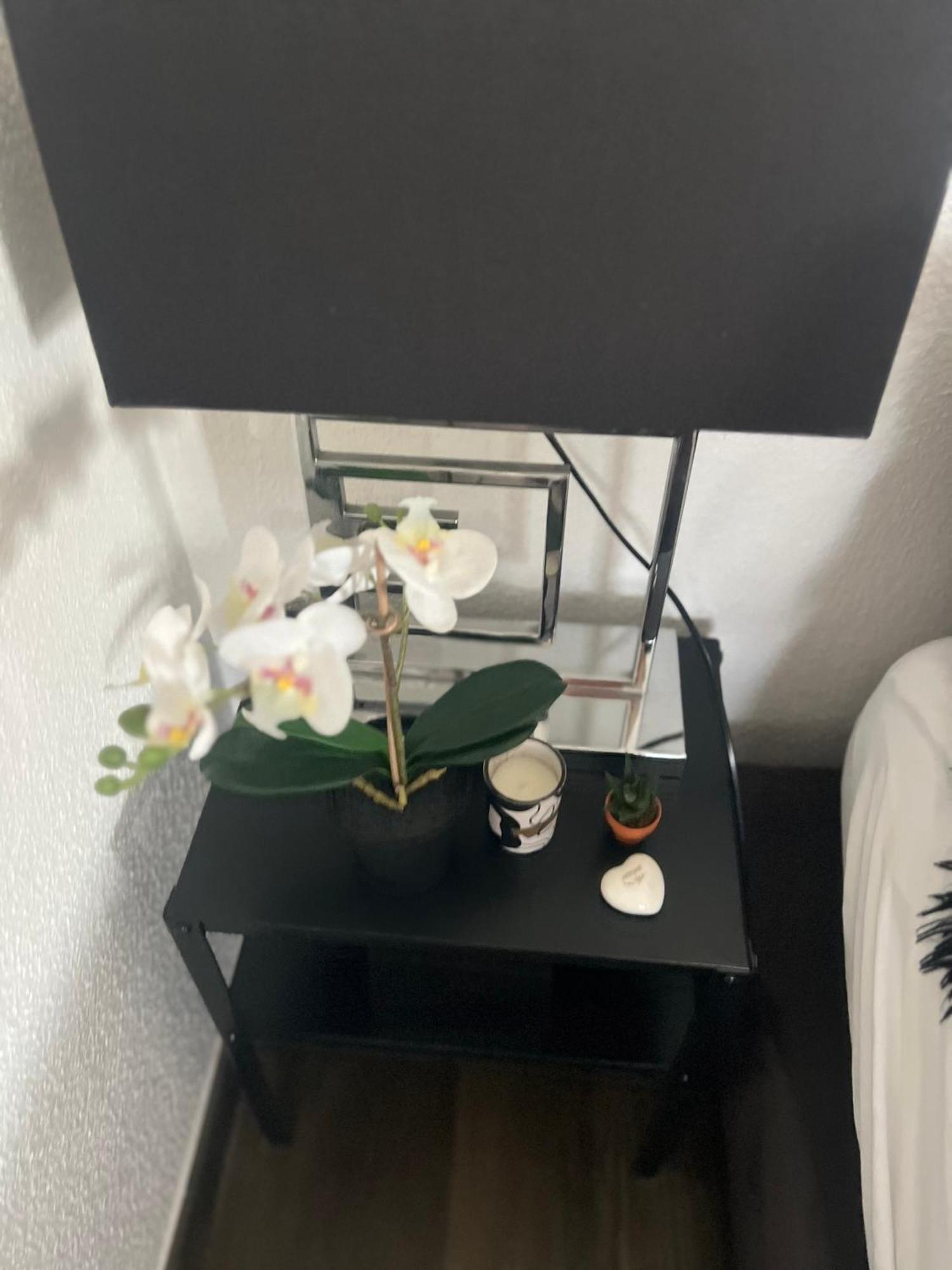 Executive Suite Ac & Free Parking Zurich Exterior photo