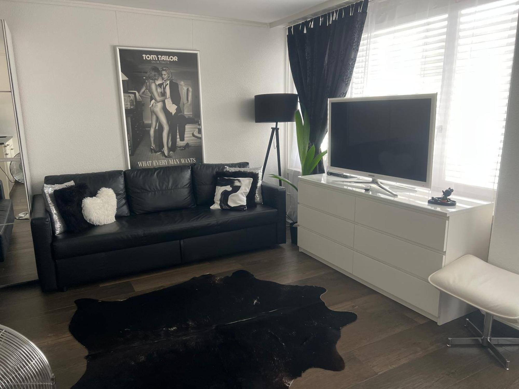 Executive Suite Ac & Free Parking Zurich Exterior photo