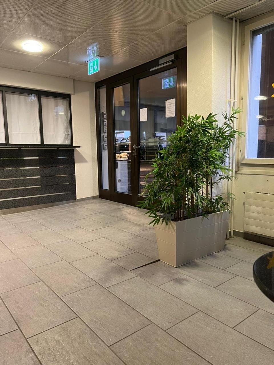 Executive Suite Ac & Free Parking Zurich Exterior photo